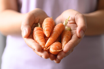 Organic small carrot holding by woman hand