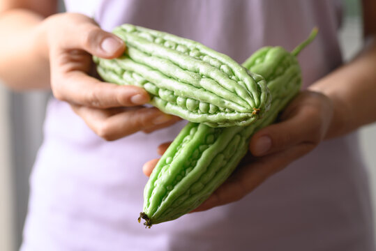 Organic bitter gourd holding by woman hand