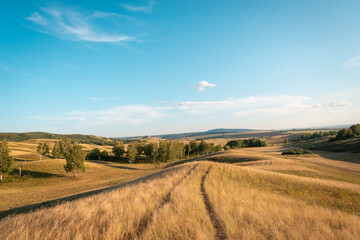 Fototapeta na wymiar landscape with a field and blue sky