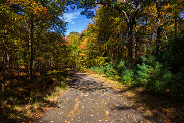 Fall Season in Western Massachusetts