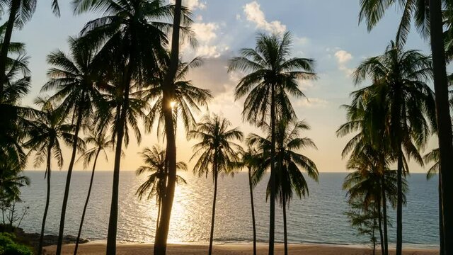 Timelapse of Sunset sky and clouds with coconut palm trees in Phuket Thailand Nature background Coconut palm trees blow in wind