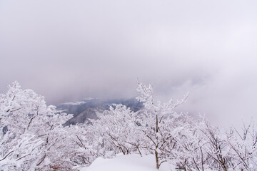 冬の伯耆大山ホワイトアウト登山