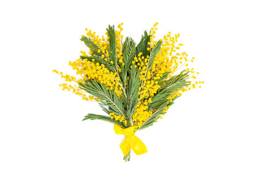 Obraz premium Mimosa flowers bouquet, spring season gift isolated on white background. Fresh fluffy yellow blooming acacia with green leaves, Holiday concept for Mothers day, 8 March, Womens day