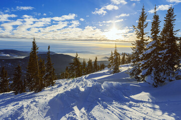 Natural Winter landscape in Sheregesh ski resort in Russia, Cold weather and sunshine, white snow slope, fir trees on top of mountain, nature view with blue clouds sky, evening time, sunset.