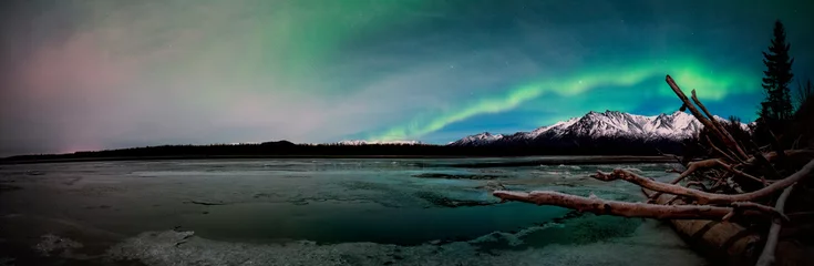 Poster Northern Lights or Aurora Borealis in Alaska © KBDESIGNPHOTO