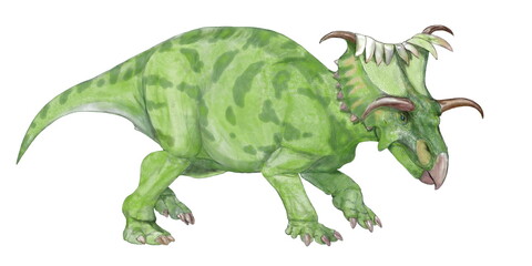 アメリカ合衆国ユタ州の白亜紀地層からはケラトプス類に属する様々な角竜の骨格や皮膚の印象などの化石が発見されている。コスモケラトプスもその中の一つだが、ユニークな頭部の形態を持つケラトプス類の中でもひときわ奇妙な頭部の装飾を持つ。目の上の角は頭骨から横に伸び、薄く鋭くとがっているが、、その先端は下向きであり、威嚇としても、武器としても今一つ実用的ではない。