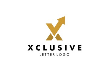 Letter X Logo : Suitable for Company Theme, Technology Theme, Finance Theme, Initial Theme, Infographics and Other Graphic Related Assets.