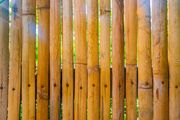 Yellow bamboo fence wall background