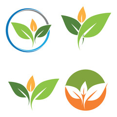 logos of green leaf tree for the environment healthy