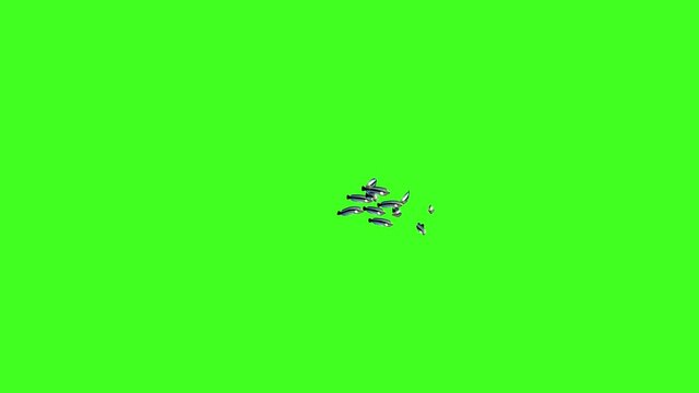 Fish Animation, Fish Swim Green Screen Video, 3D Animation, Underwater, Single and Group, Small fish group swimming, silverfish, realistic fish animation, green screen, Chroma, Isolated School of Fish
