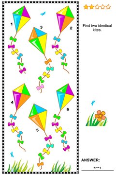Find two identical kites. Visual puzzle or picture riddle. Answer included.
