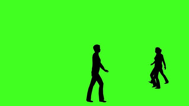 silhouette of people walking on a green screen or chroma key background, 4k crowd animation, group of people, People in the discussion, People walking in the garden, Walking on the road from side