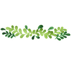 Green ivy fern border watercolor for decoration on natural garden and organic concept.