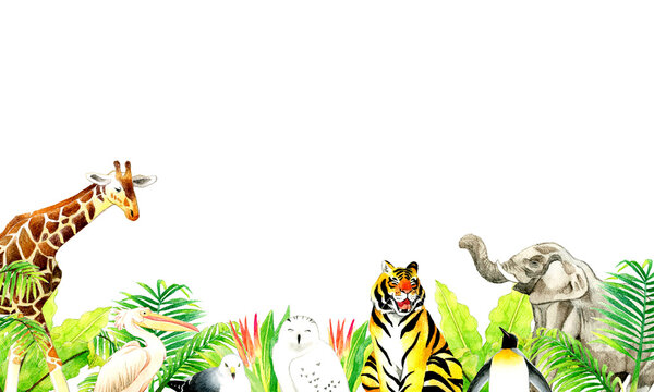 動物園の生き物と植物の背景　手描き水彩イラスト素材