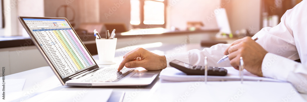 Poster Electronic Spreadsheet Analyst Or Auditor Using Software