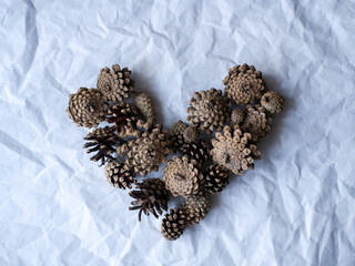 heart made of pine cones on a white background