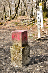 三国山稜の三角点　大洞山山頂
三国山稜　大洞山（角取山）山頂　三等三角点　角取山
