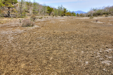 三国山稜　アザミ平より三ツ峠山を遠くに望む
"アザミ平は富士山の砂礫が広がる平坦な地理。山と高原地図ではアザミ平の分岐点から東側のアザミ平東周辺までの山地と思われる。夏になるとフジアザミの花が多く咲くことから、この地名がつけられたらしい。
樹木は比較的少なく明るい山域だが、鞍部に位置するため展望は乏しい。"
