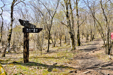 三国山稜の春　立山東分岐
