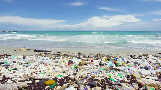 The sunny sea beach of the Atlantic is polluted with household waste. Ocean pollution with plastic waste. A global ecological catastrophe threatens the world's oceans and its coastal territory.