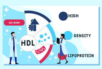 HDL - High-density lipoprotein acronym. business concept background.  vector illustration concept with keywords and icons. lettering illustration with icons for web banner, flyer, landing 