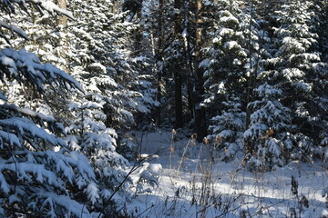 Mont Ham 2 Au 8 Janvier 2022