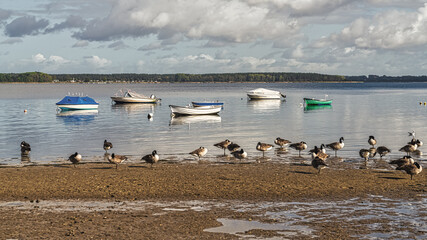 The Strelasund coast on Devin Island near Stralsund, Mecklenburg-Western Pomerania, Germany