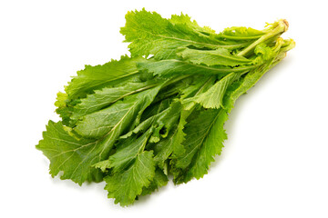 中国野菜のセリフォン