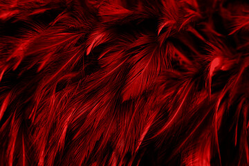 Dark Red Feathers Pattern Texture Vintage Background