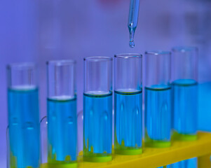 Closeup studio shot of scientific lab glass dropper dropping blue reagent solvent solution liquid sample into glassware test tube line in rack for analyzing science experiment in hospital laboratory