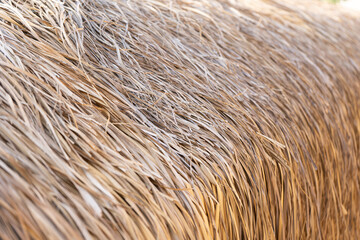 Abstract background with beach straw umbrella, straw texture
