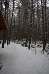 Mont Ham 2 Au 8 Janvier 2022