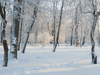 Winter landscape - a snow-covered park with beautiful trees, covered with hoarfrost. A Christmas picture - a winter forest, a sunny day in a fairy-tale park.