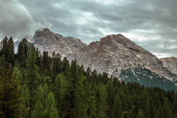 Obraz premium Forest and dolomite alps during a cloudy day, Italy, Trentino