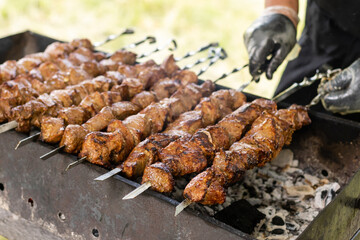 Diced meat barbecue pleasure. Turkish style Shish kebab.