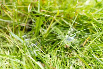 Soap bubble with amazing reflection in Tenerife Canary Islands