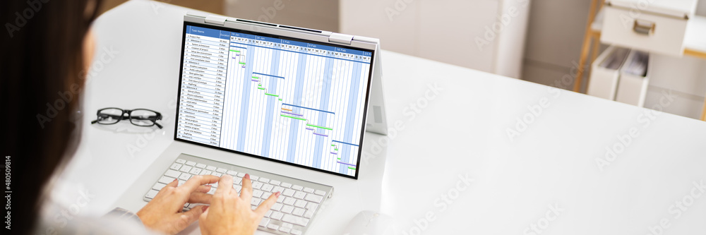 Aufkleber gantt gantt software project