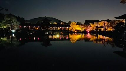 Fototapeta premium night view of lake como country
