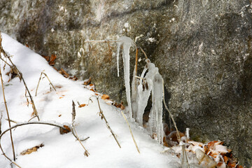 Icicles on the rock 