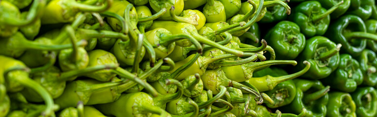 fresh ripe Green bell peppers food background in the food market.