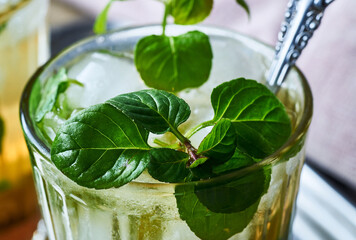 Fresh mojito mint cocktails.