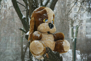 A soft toy left by children. Cloudy winter day. A snow-covered plush dog sits on a tree. Happy childhood. Close-up. Selective focus.
