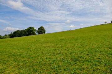 Landschaft am Mathesberg in der Hohen Rhön im Biosphärenreservat Rhön bei Wüstensachsen, Landkreis Fulda, Hessen, Deutschland