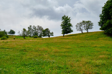 Fototapeta premium Landschaft am Mathesberg in der Hohen Rhön im Biosphärenreservat Rhön bei Wüstensachsen, Landkreis Fulda, Hessen, Deutschland