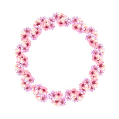 A wreath of spring pink sakura blossoms on a white isolated background. Watercolor illustration