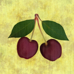 Ripe dark red cherries with green leaves hand drawn illustration on canvas