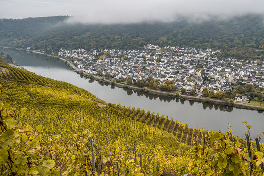 Famous German Wine Region Moselle River Lay village