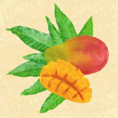 Hand drawn mango with green leaves and cut slice illustration on canvas