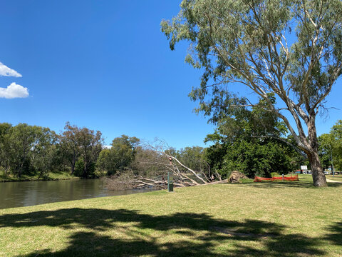 Noreuil Park Foreshore, park sits right on the Murray river. It's a beautiful place to relax in Albury Wodonga, NSW, Australia.