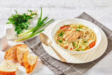 chicken noodle soup with carrots and scallion
